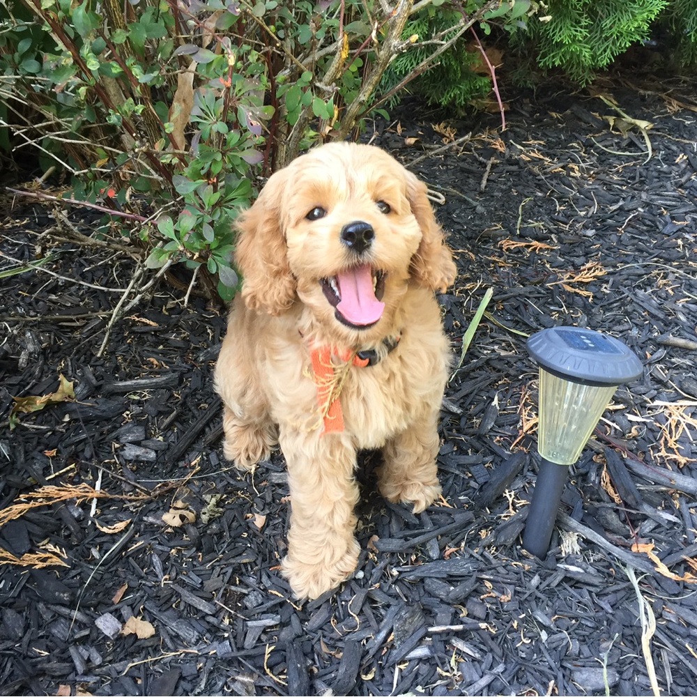 Meet your Posher, Sabrina